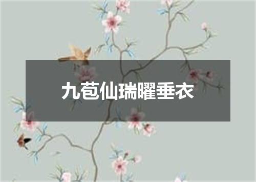 九苞仙瑞曜垂衣