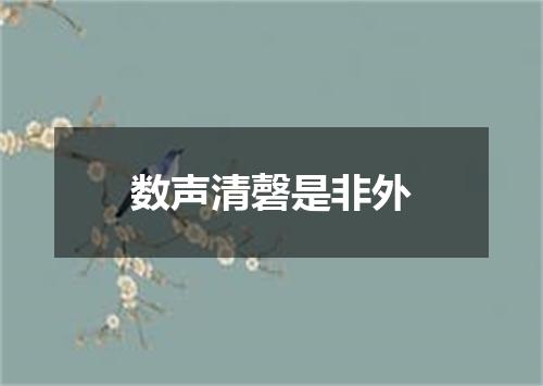 数声清磬是非外