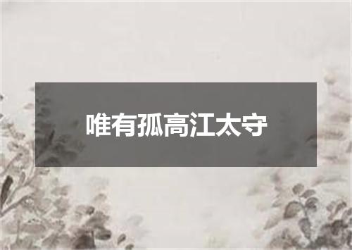 唯有孤高江太守