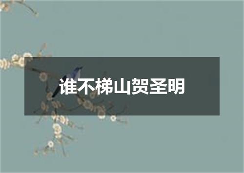 谁不梯山贺圣明