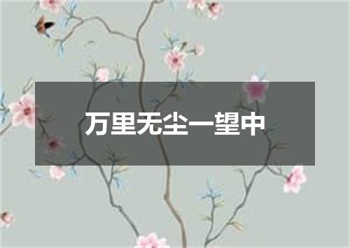 万里无尘一望中