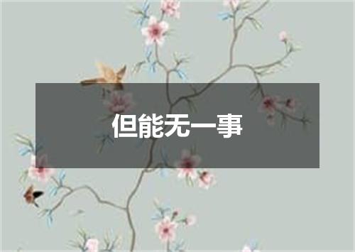 但能无一事