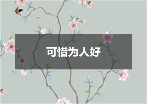 可惜为人好