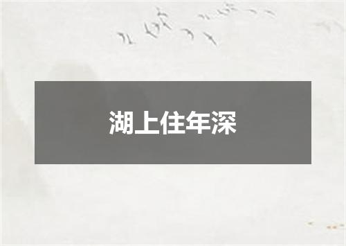 湖上住年深