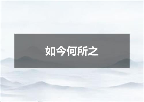 如今何所之