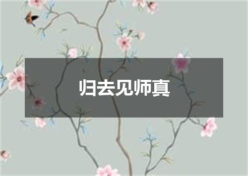 归去见师真