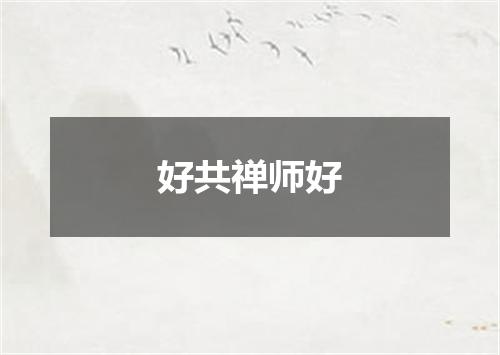 好共禅师好