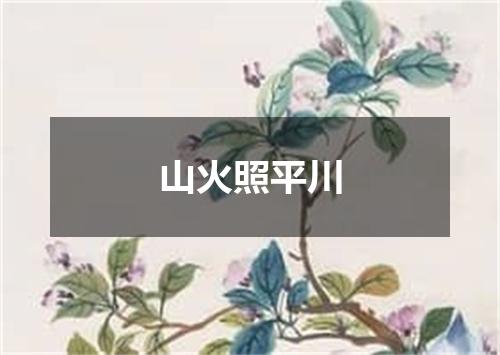山火照平川