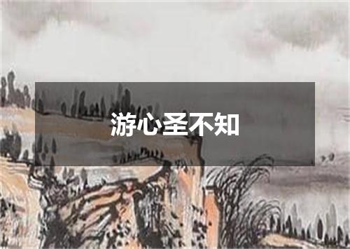 游心圣不知