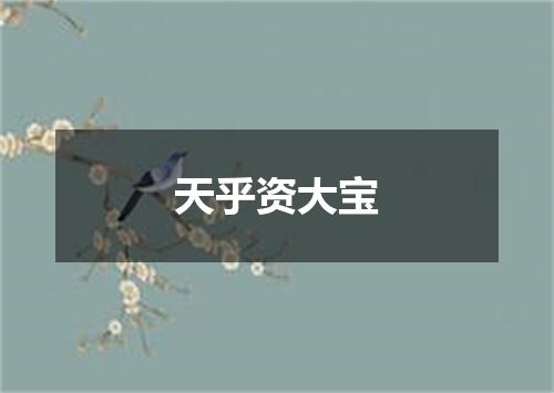 天乎资大宝