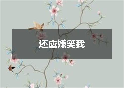 还应嫌笑我