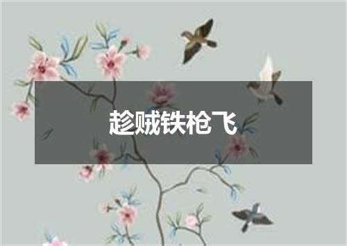 趁贼铁枪飞