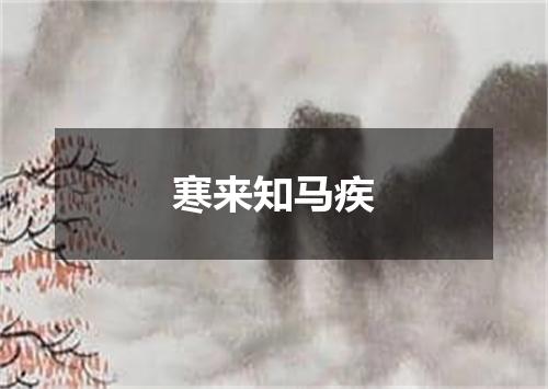 寒来知马疾