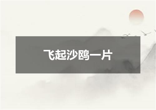 飞起沙鸥一片