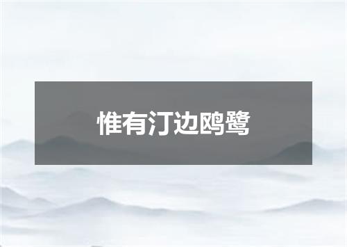 惟有汀边鸥鹭