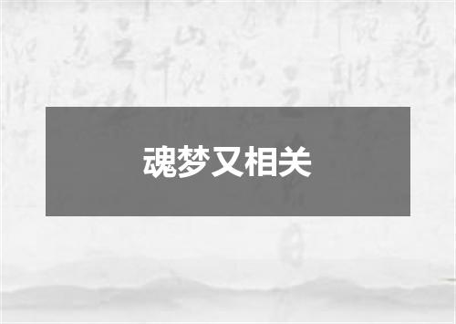魂梦又相关