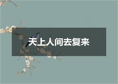 天上人间去复来