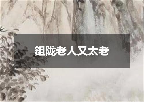 鉏陇老人又太老