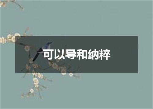 可以导和纳粹