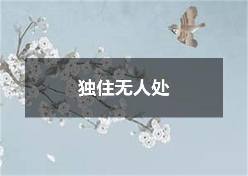 独住无人处