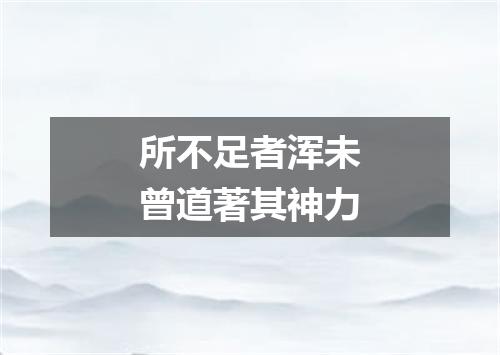 所不足者浑未曾道著其神力