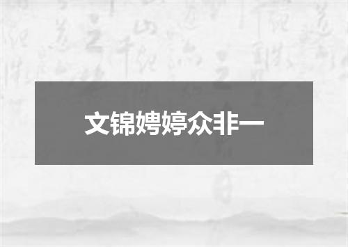 文锦娉婷众非一