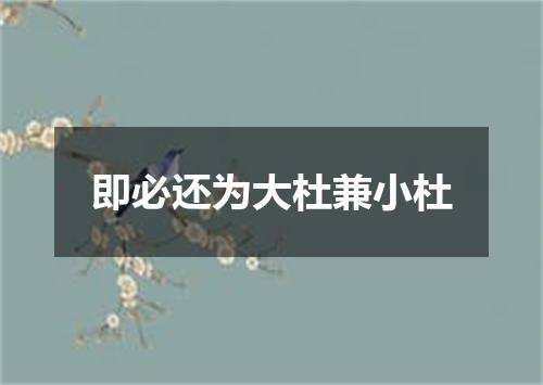 即必还为大杜兼小杜