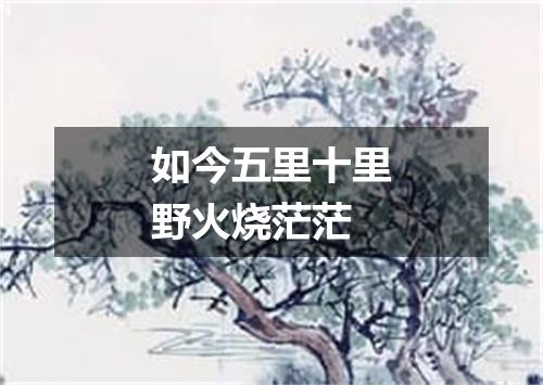 如今五里十里野火烧茫茫