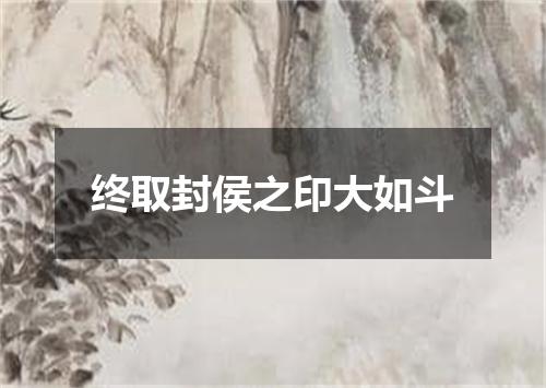 终取封侯之印大如斗