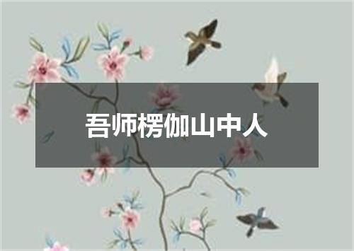 吾师楞伽山中人