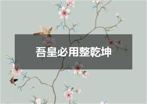 吾皇必用整乾坤