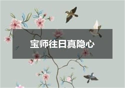 宝师往日真隐心