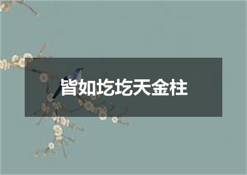 皆如圪圪天金柱