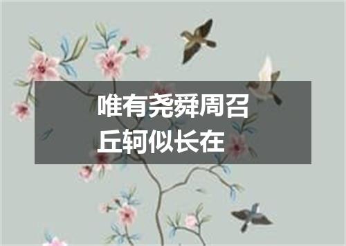 唯有尧舜周召丘轲似长在
