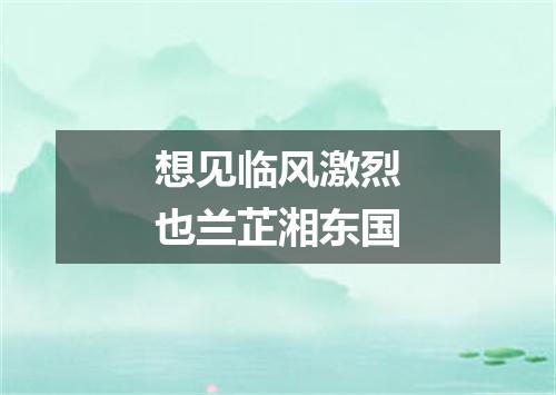 想见临风激烈也兰芷湘东国