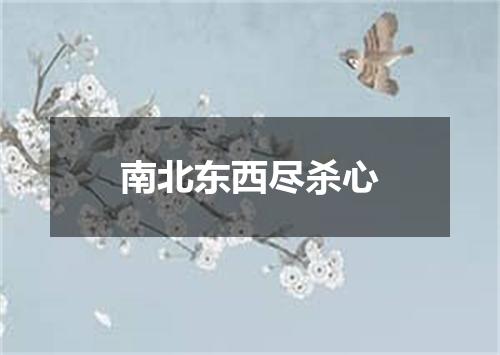 南北东西尽杀心