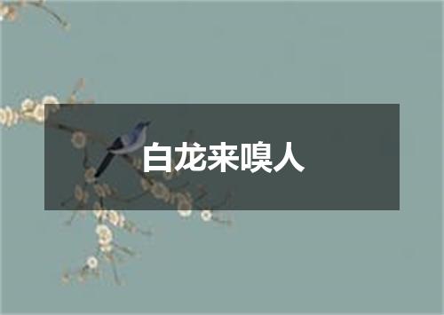 白龙来嗅人