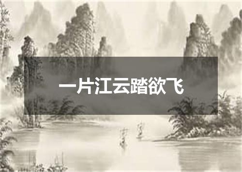 一片江云踏欲飞