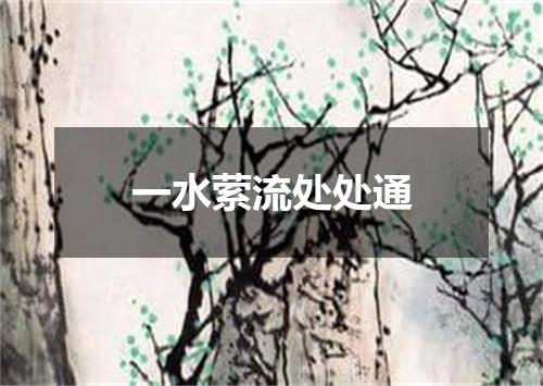 一水萦流处处通