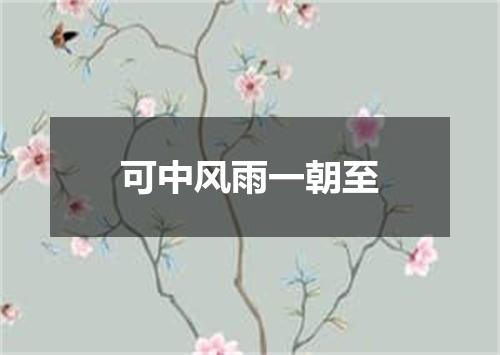 可中风雨一朝至