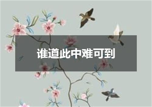 谁道此中难可到