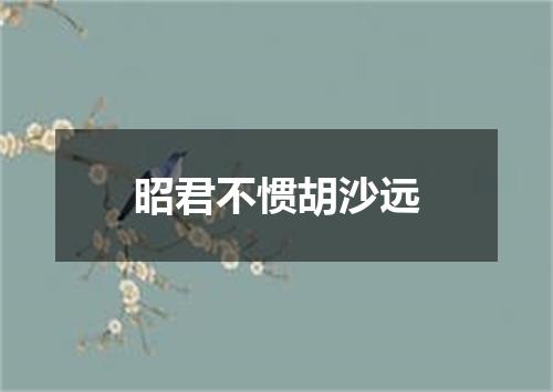 昭君不惯胡沙远