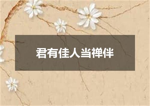 君有佳人当禅伴