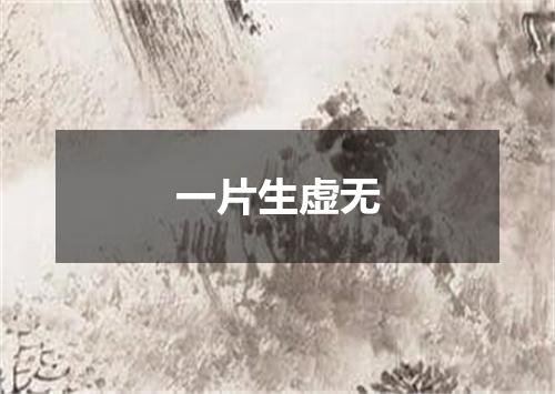 一片生虚无