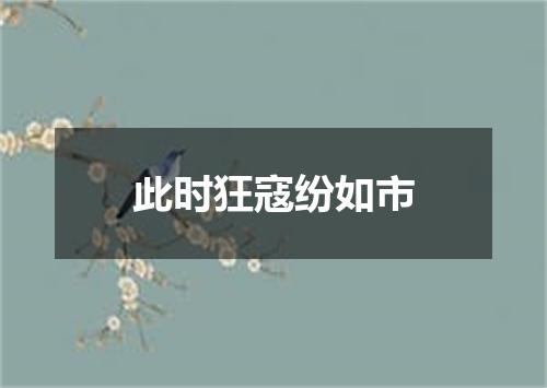 此时狂寇纷如市