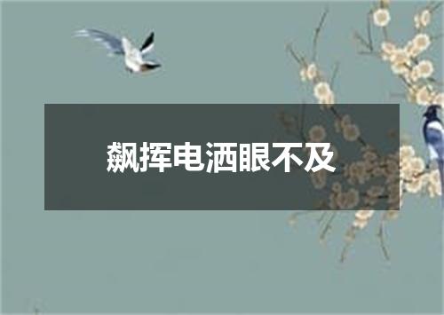 飙挥电洒眼不及