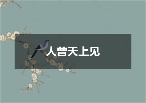人曾天上见