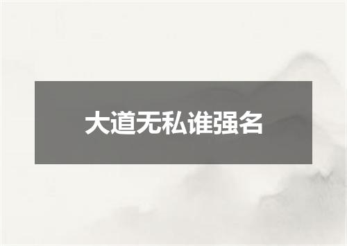 大道无私谁强名