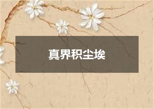 真界积尘埃