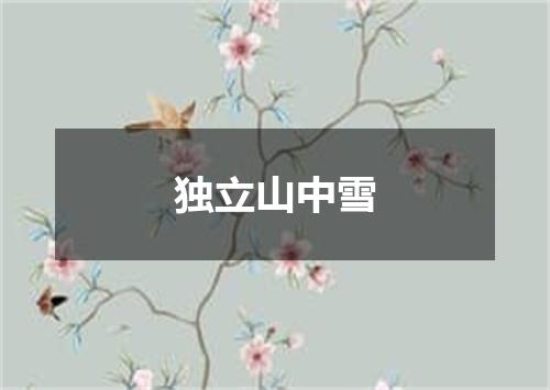 独立山中雪